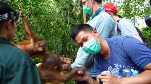 Me with the baby orangutan!