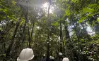 A group of students in hard hats walking through a forest