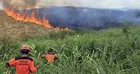 Workers in a field during a controlled burn