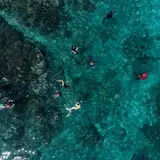 aerial shot of people swimming