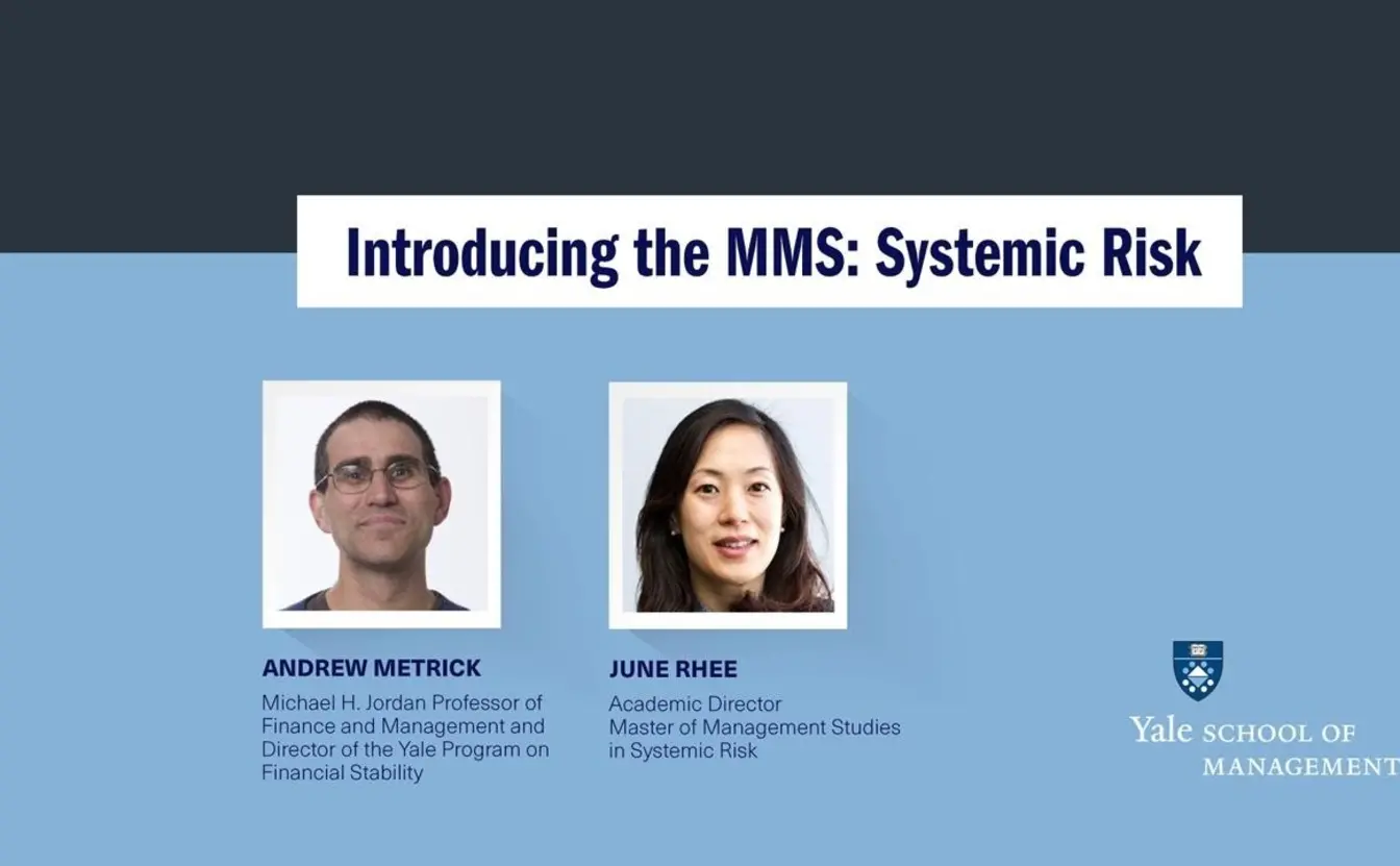 Preview image for the video "Introducing the MMS Systemic Risk".