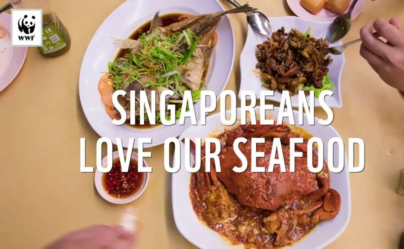 Preview image for the video "Sustainable Seafood in Singapore".