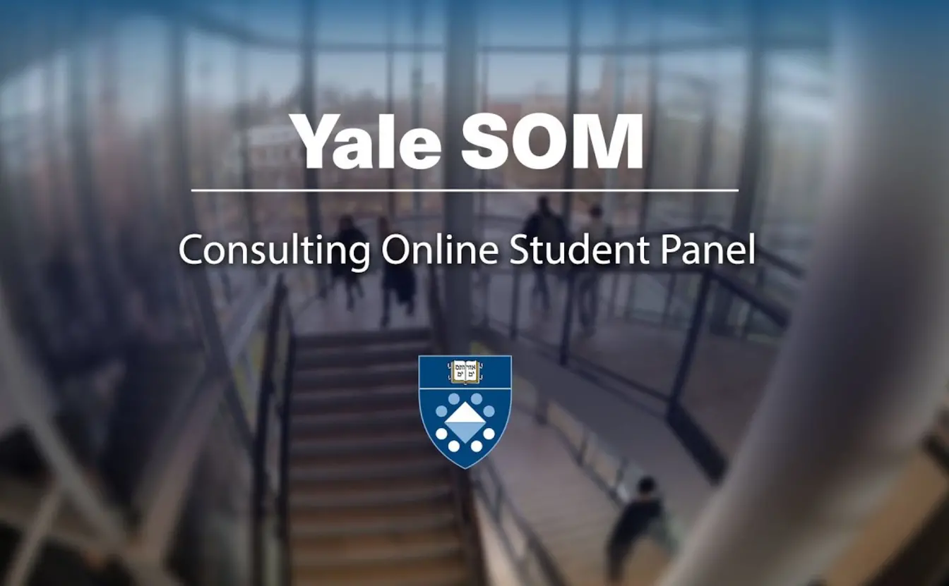 Preview image for the video "Consulting Online Student Panel".