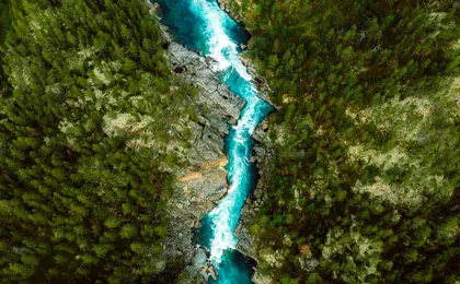 An aerial view of a river through a forest