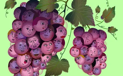 An illustration of bunches of grapes in which each grape is a human face