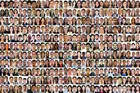 collage of people's headshots