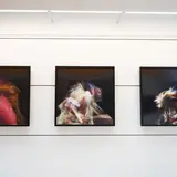 Three fine art photographs displayed against a white wall